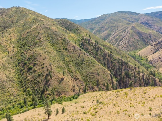 4LOT Mills Canyon Rd, Entiat, WA 98822 - photo 4