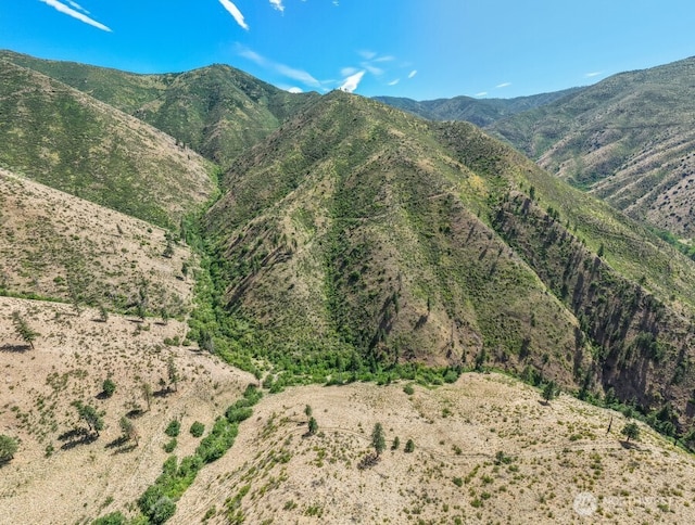 4LOT Mills Canyon Rd, Entiat, WA 98822 - photo 6