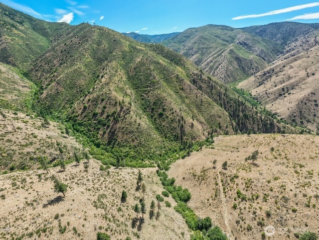 4LOT Mills Canyon Rd, Entiat, WA 98822 - photo 7