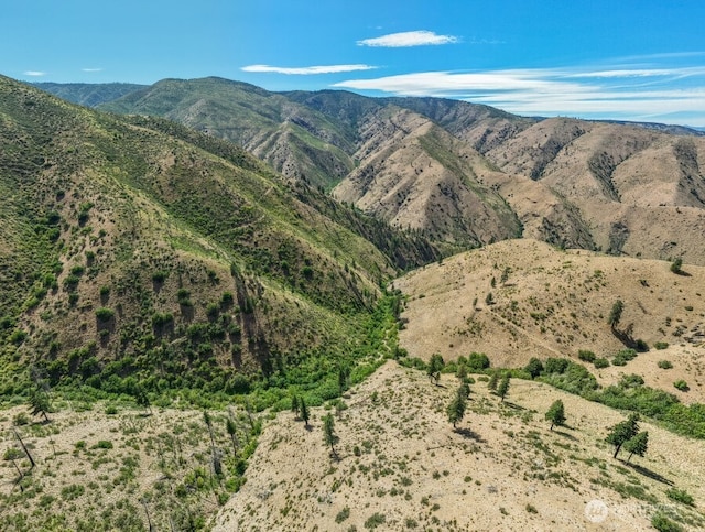 4LOT Mills Canyon Rd, Entiat, WA 98822 - photo 8