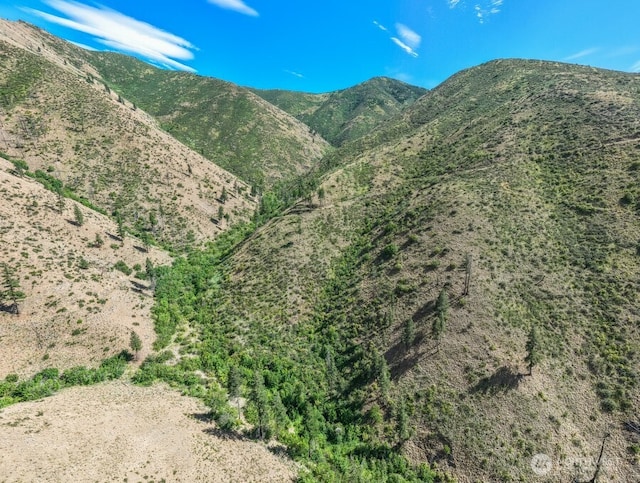 4LOT Mills Canyon Rd, Entiat, WA 98822 - photo 10