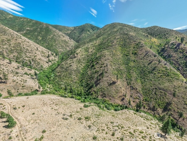 4LOT Mills Canyon Rd, Entiat, WA 98822 - photo 11