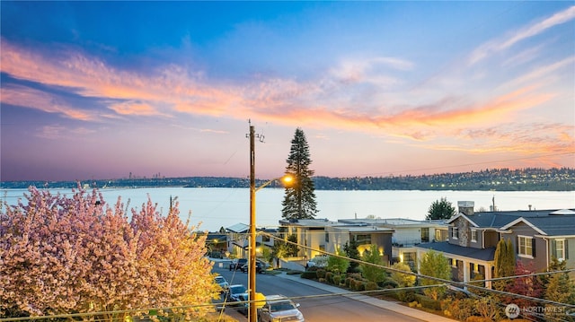 1006 4th St W, Kirkland, WA 98033 - water view
