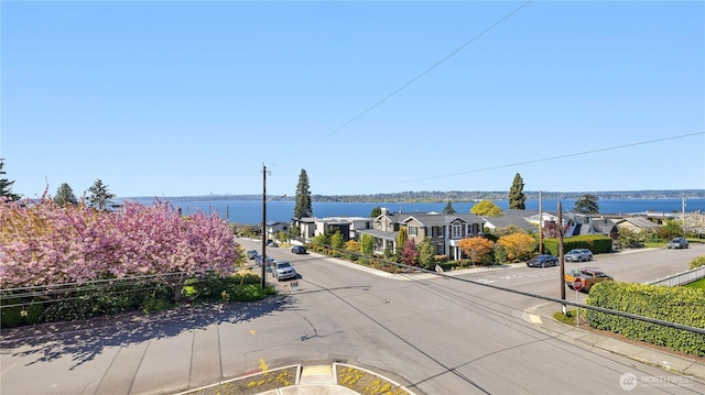 1006 4th St W, Kirkland, WA 98033 - water view