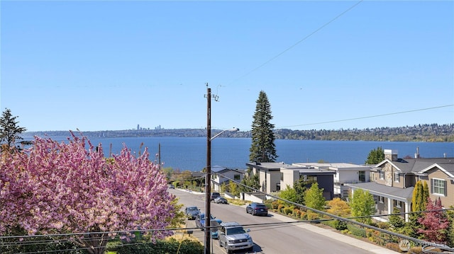 1006 4th St W, Kirkland, WA 98033 - water view