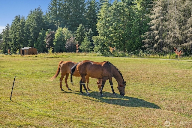 3146 State Route 508, Onalaska, WA 98570 - view of community featuring a lawn and an outdoor structure