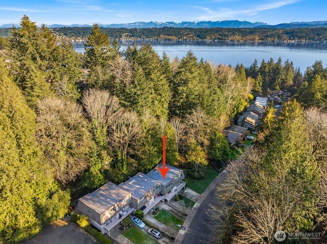 16932 NE 2nd Pl, Bellevue, WA 98008 - aerial view of a water and mountain view and a forest