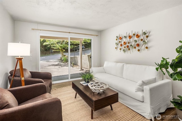 16932 NE 2nd Pl, Bellevue, WA 98008 - living room featuring wood finished floors