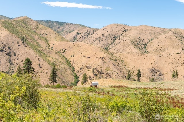 5LOT Mills Canyon Rd, Entiat, WA 98822 - photo 2