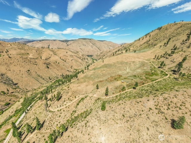 5LOT Mills Canyon Rd, Entiat, WA 98822 - photo 3