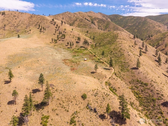 5LOT Mills Canyon Rd, Entiat, WA 98822 - photo 4