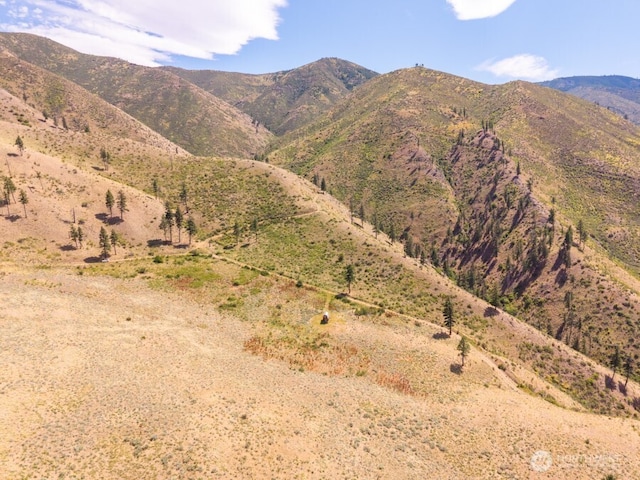 5LOT Mills Canyon Rd, Entiat, WA 98822 - photo 5