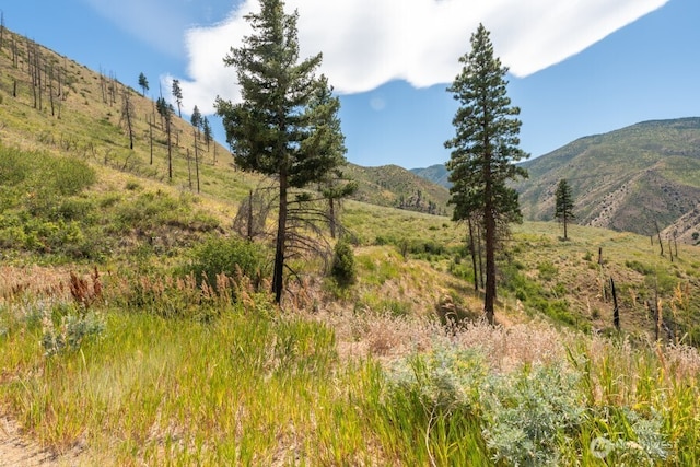 5LOT Mills Canyon Rd, Entiat, WA 98822 - photo 6