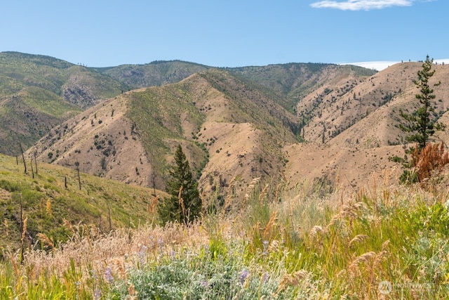 5LOT Mills Canyon Rd, Entiat, WA 98822 - photo 7