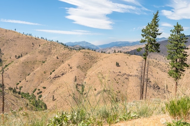 5LOT Mills Canyon Rd, Entiat, WA 98822 - photo 8