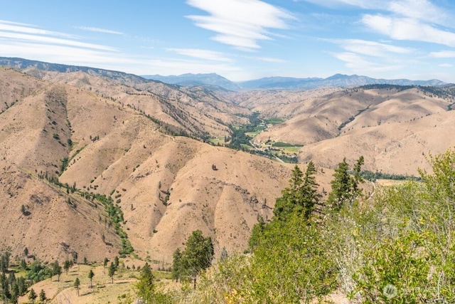 5LOT Mills Canyon Rd, Entiat, WA 98822 - photo 9