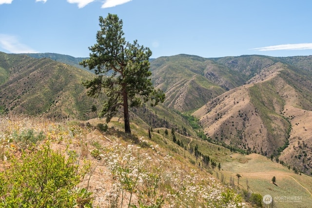 5LOT Mills Canyon Rd, Entiat, WA 98822 - photo 11