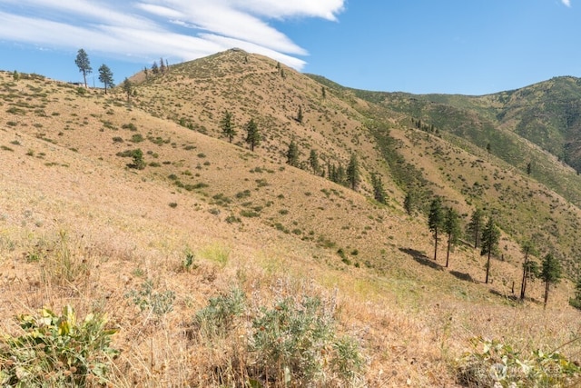 5LOT Mills Canyon Rd, Entiat, WA 98822 - photo 12