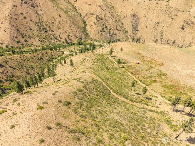 5LOT Mills Canyon Rd, Entiat, WA 98822 - photo 14