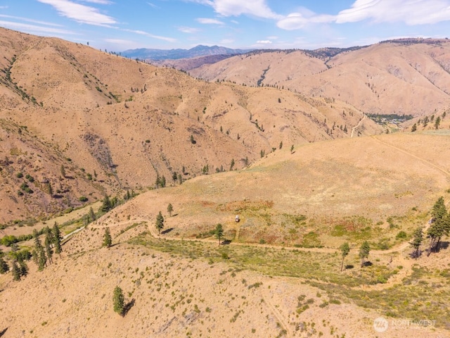 5LOT Mills Canyon Rd, Entiat, WA 98822 - photo 16