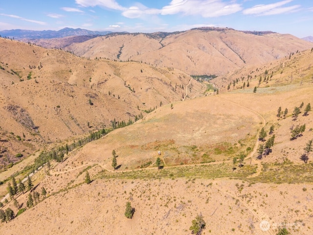 5LOT Mills Canyon Rd, Entiat, WA 98822 - photo 17