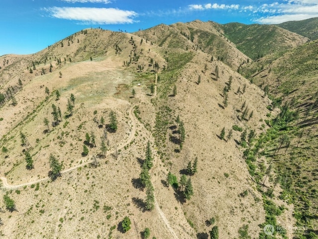 5LOT Mills Canyon Rd, Entiat, WA 98822 - photo 18