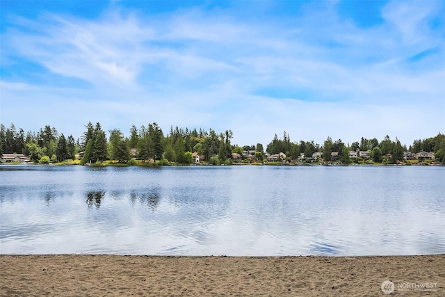 21103 SE 258th St, Maple Valley, WA 98038 - photo 34