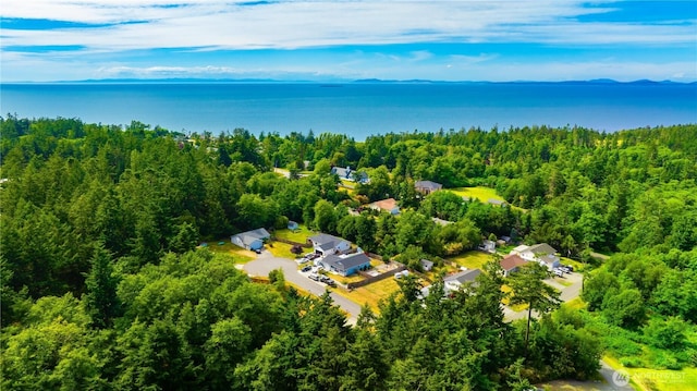 1390 Jordan Ct, Oak Harbor, WA 98277 - bird's eye view of a heavily wooded area