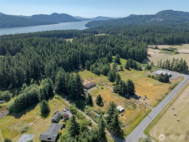 2783 Orcas Rd, Orcas Island, WA 98245 - photo 4