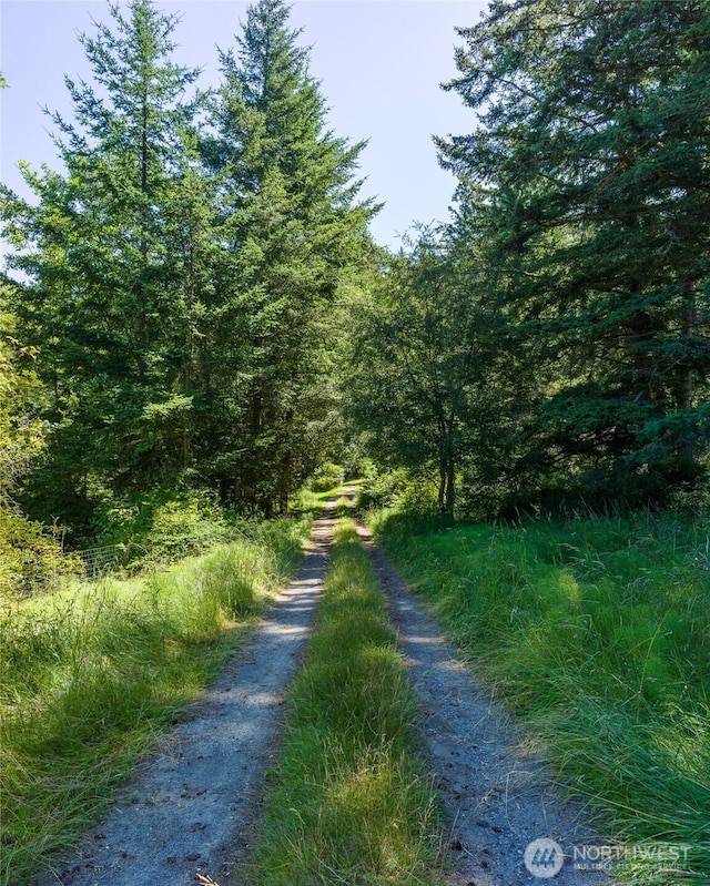 2783 Orcas Rd, Orcas Island, WA 98245 - photo 5