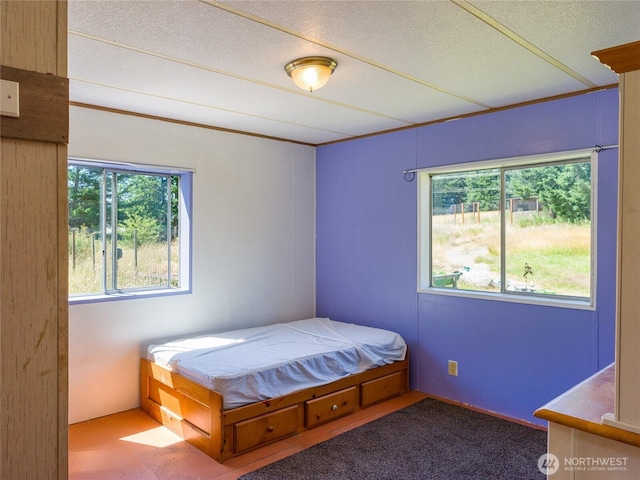 2783 Orcas Rd, Orcas Island, WA 98245 - photo 19