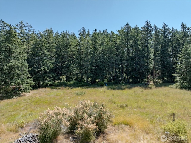 2783 Orcas Rd, Orcas Island, WA 98245 - photo 27