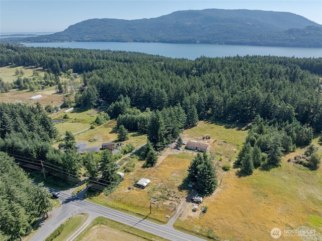 2783 Orcas Rd, Orcas Island, WA 98245 - photo 35
