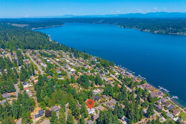 3102 168th Pl SE, Bellevue, WA 98008 - photo 4