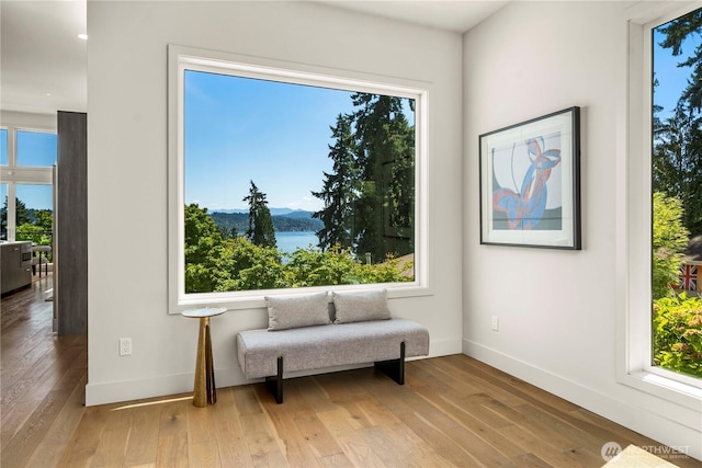 3102 168th Pl SE, Bellevue, WA 98008 - photo 7