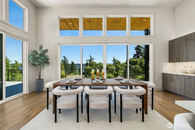 3102 168th Pl SE, Bellevue, WA 98008 - photo 15