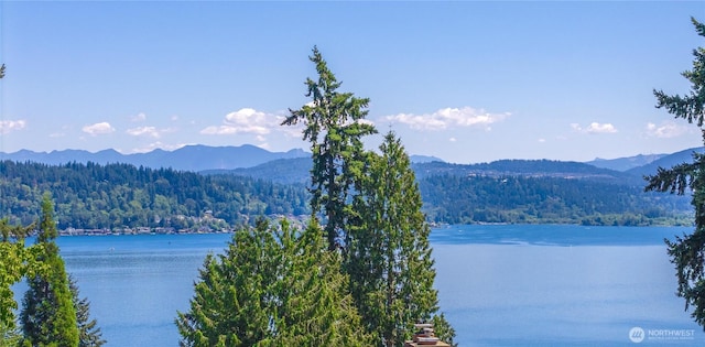 3102 168th Pl SE, Bellevue, WA 98008 - photo 2