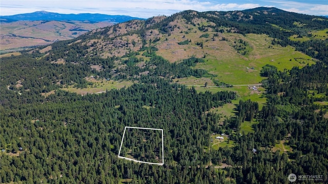 45 Spring Meadow Ln, Oroville, WA 98844