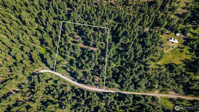 45 Spring Meadow Ln, Oroville, WA 98844