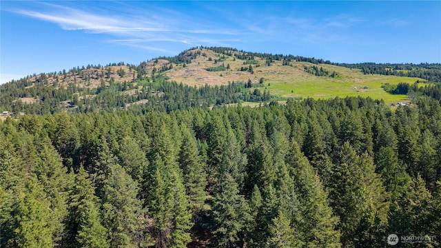 45 Spring Meadow Ln, Oroville, WA 98844