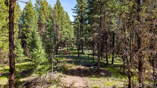 45 Spring Meadow Ln, Oroville, WA 98844