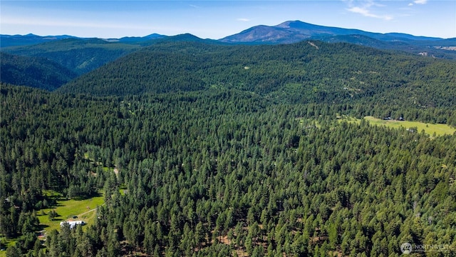 45 Spring Meadow Ln, Oroville, WA 98844