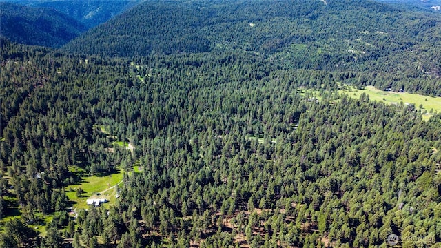 45 Spring Meadow Ln, Oroville, WA 98844