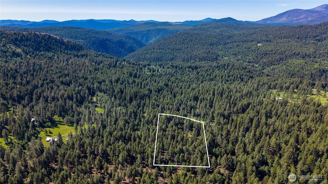 45 Spring Meadow Ln, Oroville, WA 98844