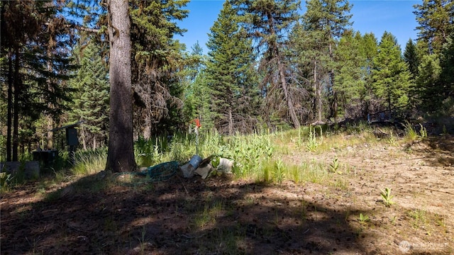 45 Spring Meadow Ln, Oroville, WA 98844
