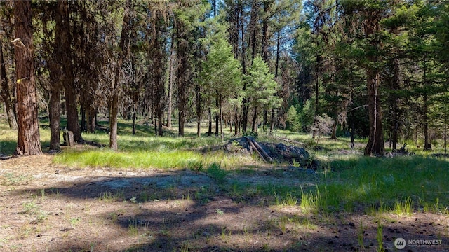 45 Spring Meadow Ln, Oroville, WA 98844
