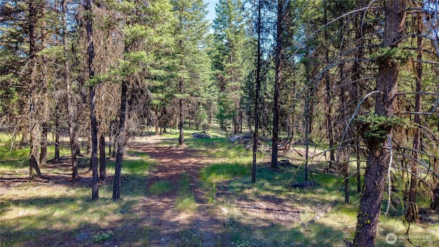 45 Spring Meadow Ln, Oroville, WA 98844