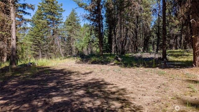 45 Spring Meadow Ln, Oroville, WA 98844