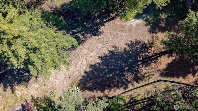 45 Spring Meadow Ln, Oroville, WA 98844