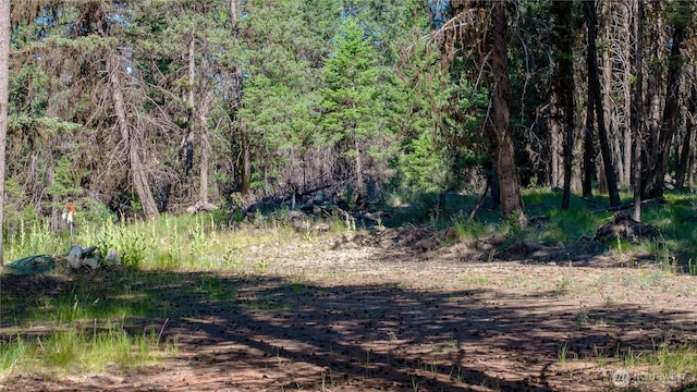 45 Spring Meadow Ln, Oroville, WA 98844